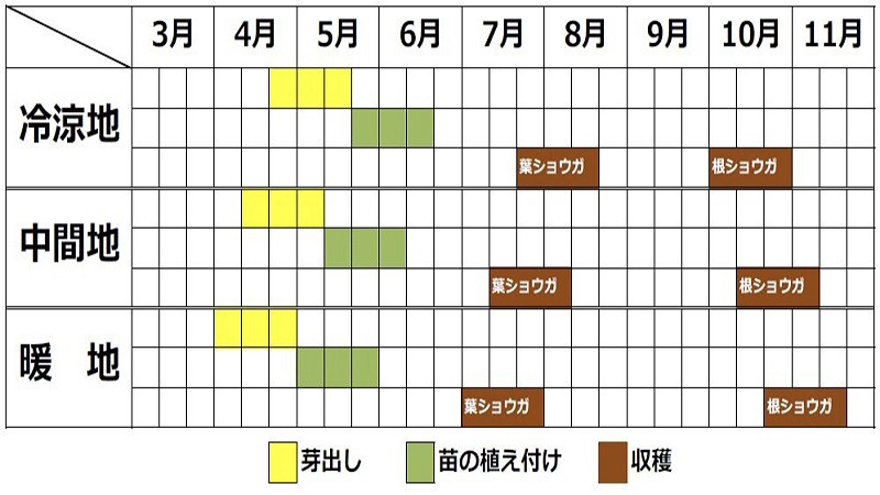 生姜栽培カレンダー